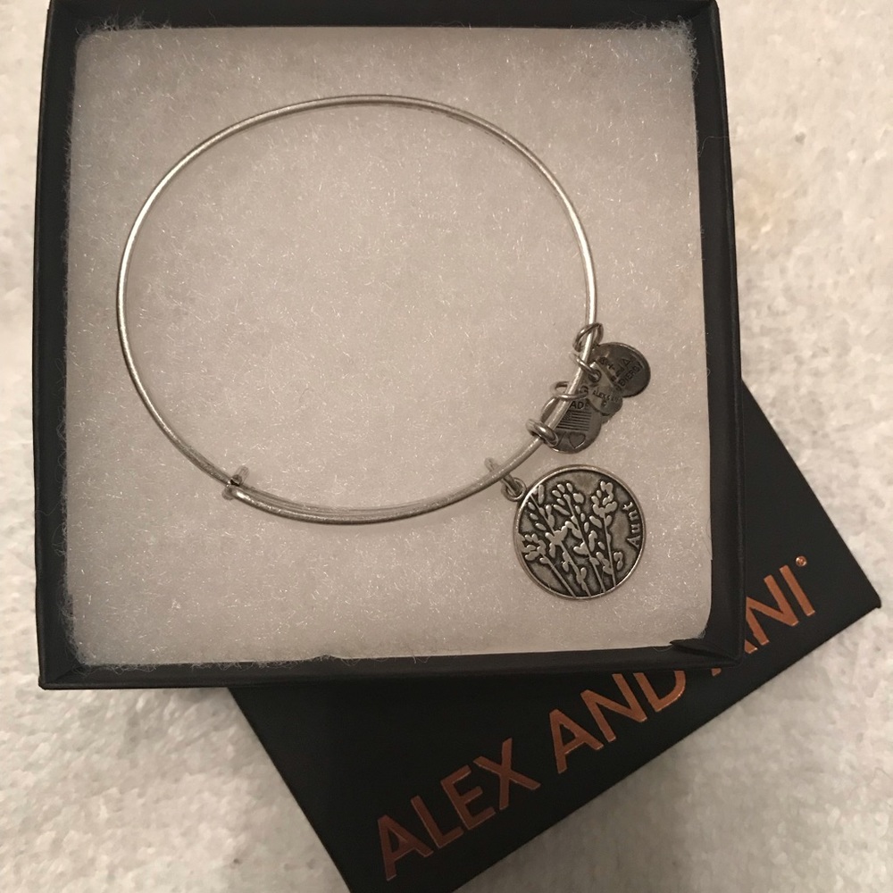 Alex and Ani Bangle